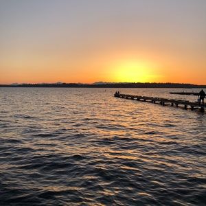 Meet your Posher, Bree